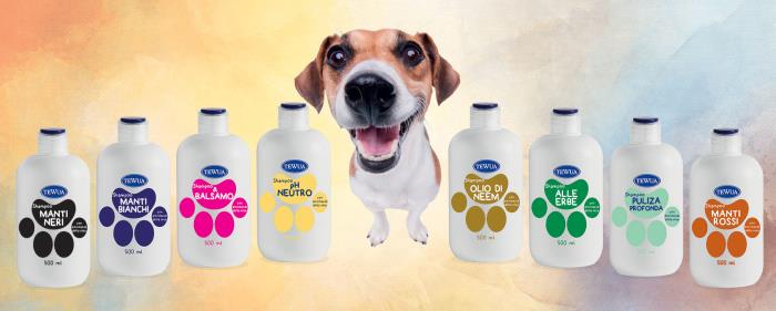 Tewua keeps pets clean and happy with help from Giflors 855 cap